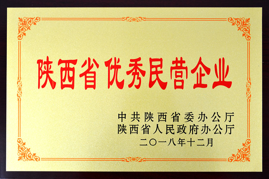 優(yōu)秀民營(yíng)企業(yè)